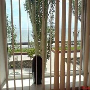 Однокомнатная ул. Горького 47, район Приморской площади